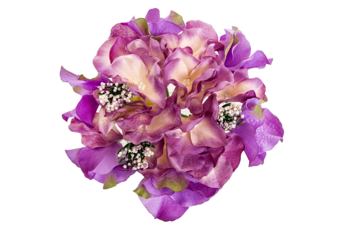 Hortensja Lavender (48/576 szt)