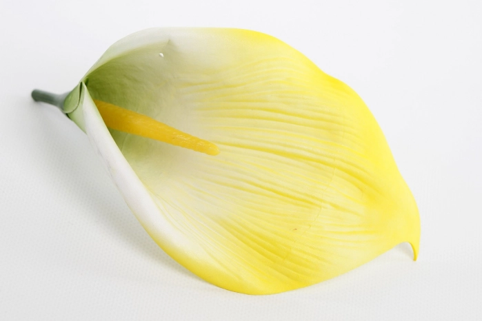 Kalia (144/1728 szt) [yellow]