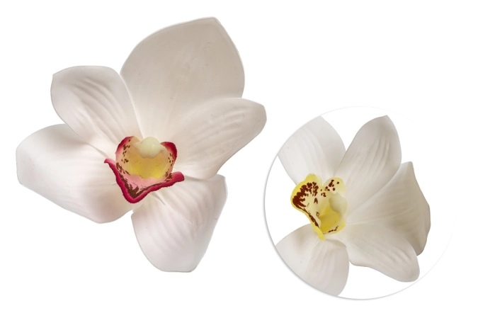 Orchidea wyrobówka (240 szt)