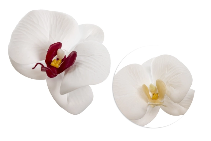 Orchidea wyrobówka (240 szt)