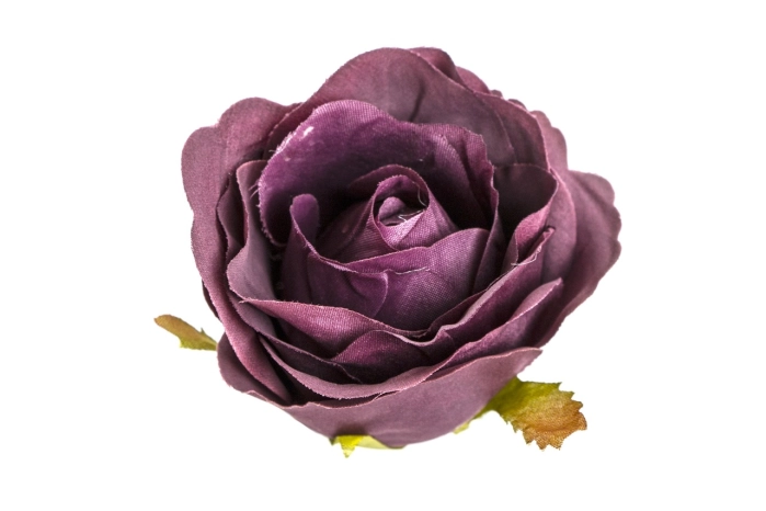 Róża wyrobowa (12/720 szt) [purple]