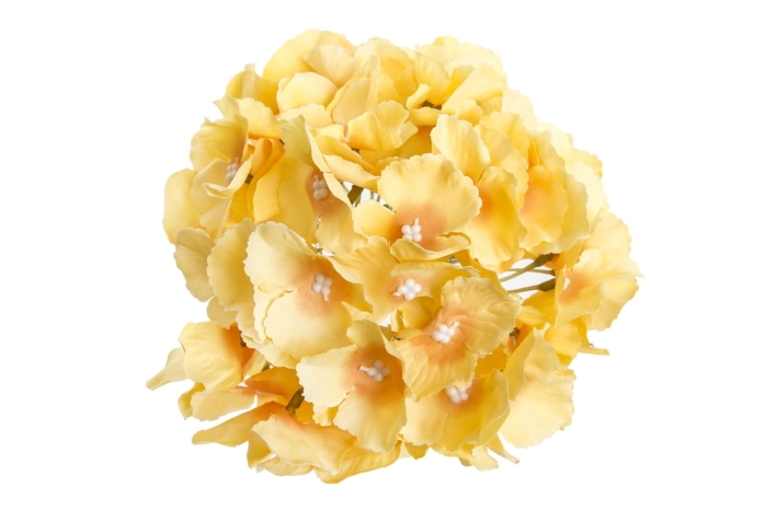 Hortensja wyrobowa (48/480 szt)[yellow]