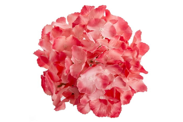 Hortensja wyrobowa (48/480 szt) [pink]