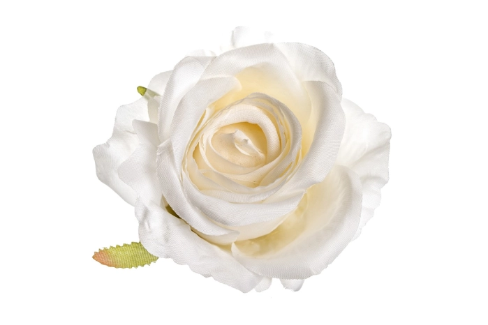 Róża wyrobowa (12/432 szt) [cream]