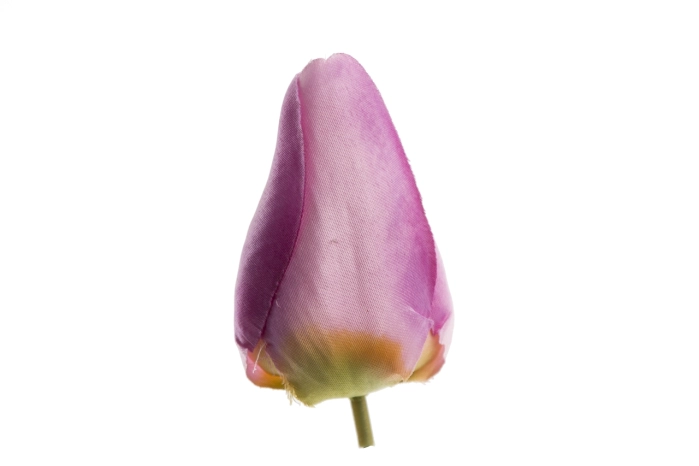 Tulipan wyrobowy różowy (50/3200szt)