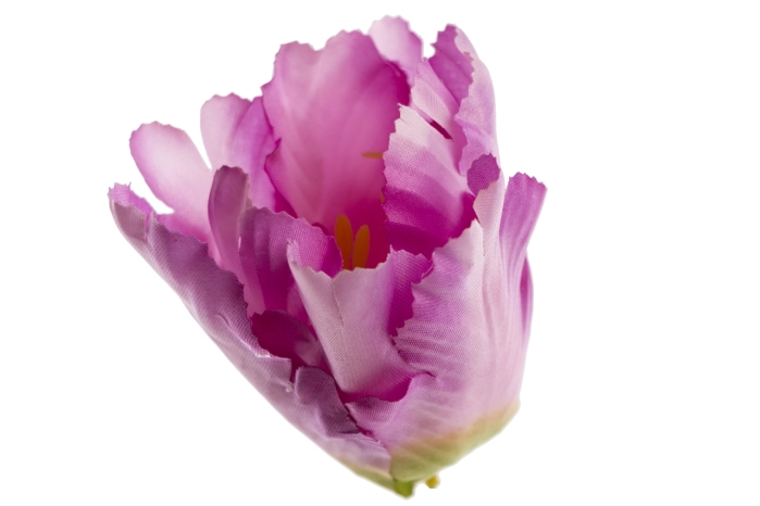 Tulipan wyrobowy różowy (12/864szt)